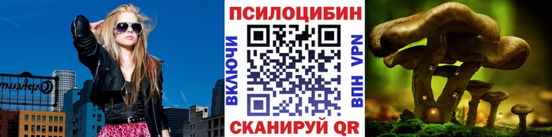 Галлюциногенные грибы Cubensis где продают Кяхта